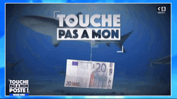 Touche Money Underwater With Shark GIF