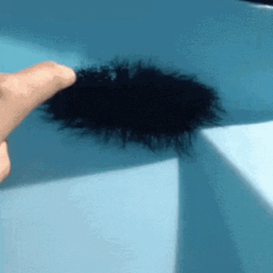 Touching The Nest Of Spider Jumpscare GIF