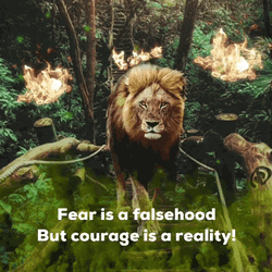 Tough And Courageous Lion GIF