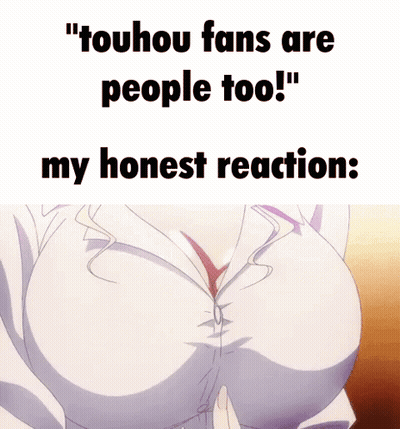 Touhou Fans Are People Too My Honest Reaction