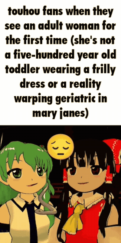 Touhou Fans Seeing Adult Woman Not 500-Year-Old Toddler GIF