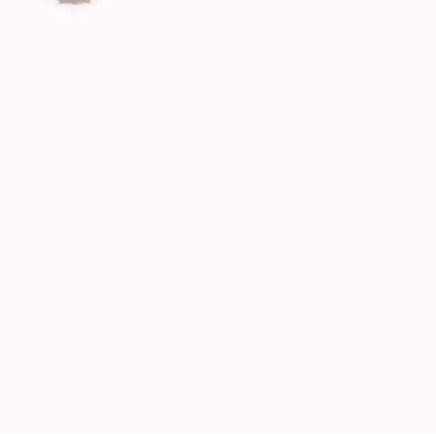 Toy Bugs With Big Eyes Moving In A Row GIF