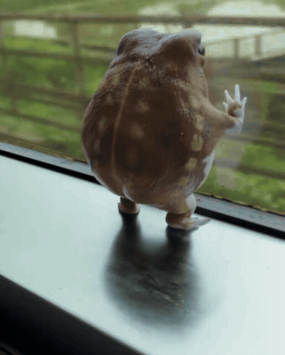 Toy Frog Standing On Window Sill GIF