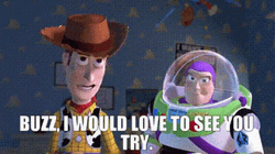Toy Story I Would Like To See It GIF