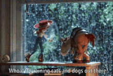 Toy Story Whoa Raining Cats And Dog Lightning GIF