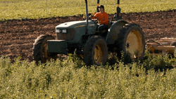 Tractor John Deere 8100 GIF