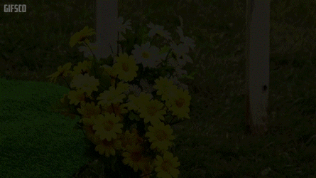 Trailer Park Boys Police Officer Jim Lahey GIF