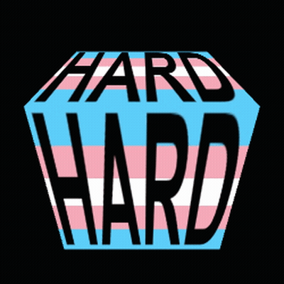 Transgender Flag Saying Hard GIF