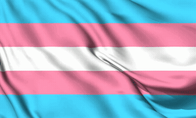 Transgender Flag Waving In Wind GIF