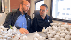 Transit Wow Trump Meme GIF