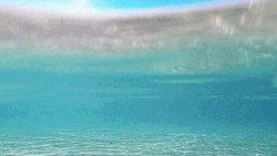 Transparent Crystal Ocean
