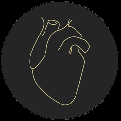 Transparent Heart Sticker Human Heart Beating GIF