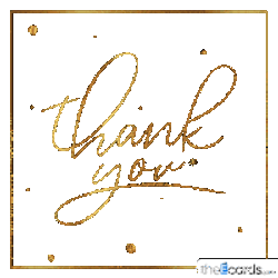 Transparent Theecards Sticker GIF