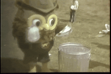 Trash Bin Hot Garbage Woodsy Owl GIF