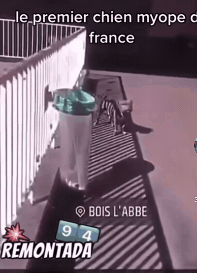 Trash Can In France With 94 Remontada GIF