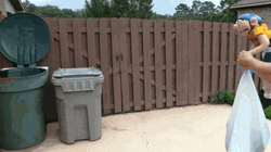 Trash Out Jeffy Puppet GIF