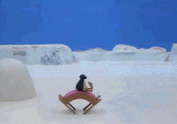 Traveling Seal Ascend Noot Noot Meme GIF
