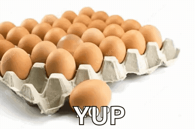 Tray Of Eggs With Yup GIF