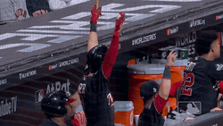 Trea Turner Loud Winning Scream GIF