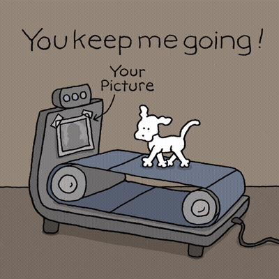 Treadmill You Keep Me Going On Chippy The Dog GIF