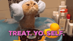 Treat Yo Self Cute Cat Bath GIF