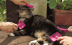 Treat Yo Self Relaxed Cat Brush