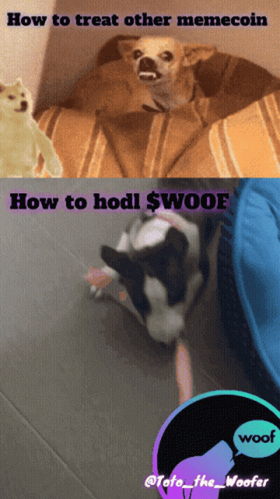 Treating And Holding $Woof Meme Coin GIF