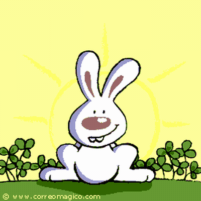 Trébol 4 Hojas Herradura 4 Patas Conejo GIF