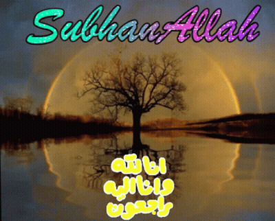 Tree In Lake With Subhan Allah Above GIF