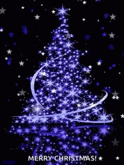 Tree Lights Christmas In July GIF