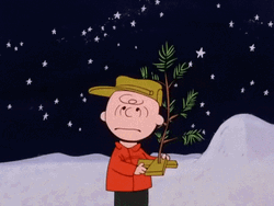 Tree Planting In Happy Thanksgiving Charlie Brown GIF