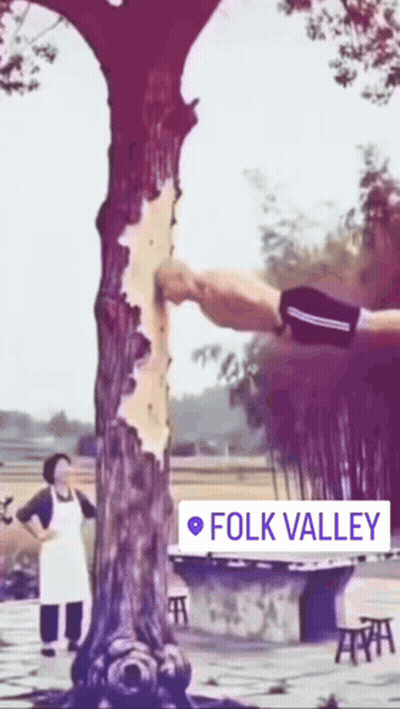 Tree Saying Folk Valley GIF