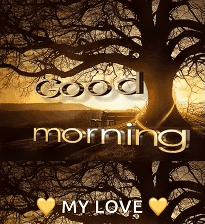Tree Saying Good Morning My Love GIF