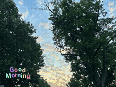 Tree Saying Good Morning GIF