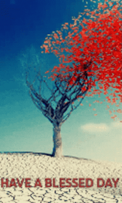 Tree Saying Have A Blessed Day GIF