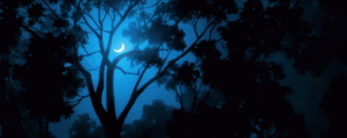 Tree Silhouette Against Blue Sky And Crescent Moon GIF