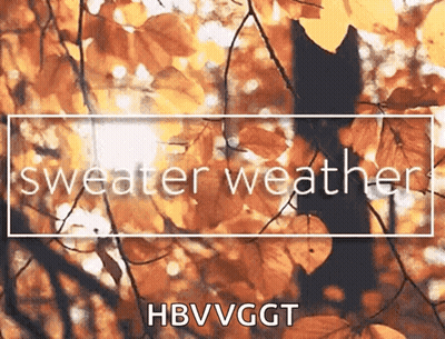 Tree Sweater Weather GIF