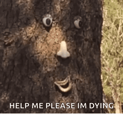 Tree Trunk Face Saying Help Me Please Im Dying GIF