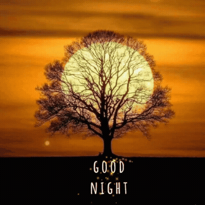 Tree With Full Moon Saying Good Night GIF