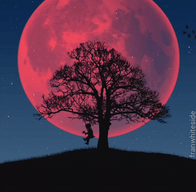 Tree With Full Moon Saying Good Night GIF
