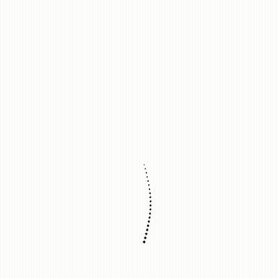 Tree With Green Leaves And Branches GIF