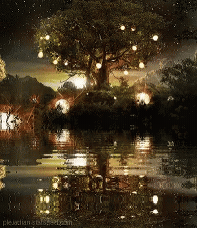 Tree With Lights Reflected In Water At Night GIF