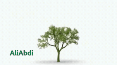Tree With Name Aliabdi GIF