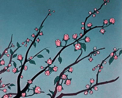 Tree With Pink Flowers And Green Leaves GIF