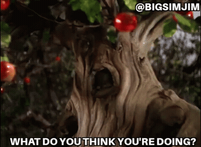 Tree With Red Apples Saying What Do You Think You're Doing GIF