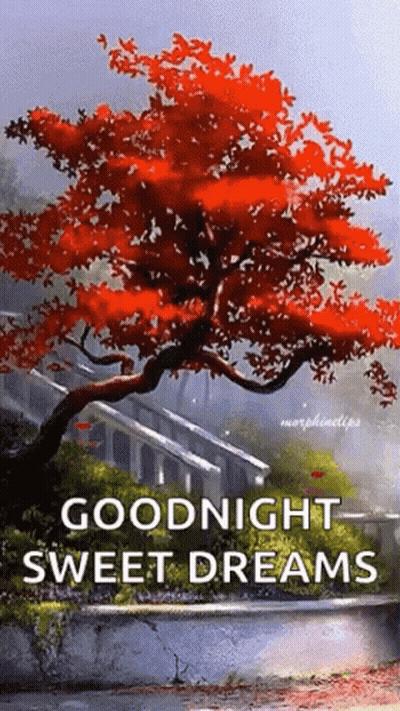 Tree With Red Leaves Saying Goodnight Sweet Dreams GIF