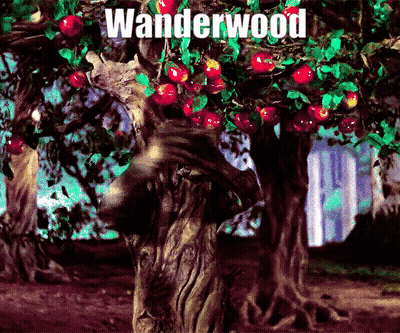 Tree With Word Wanderwood GIF