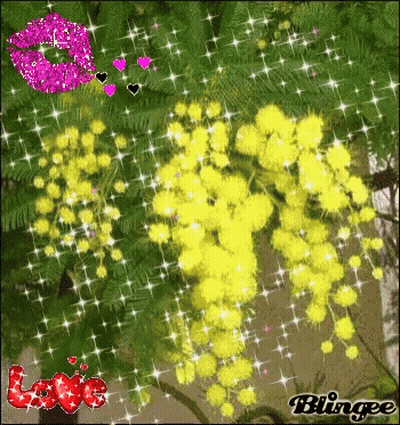 Tree With Yellow Flowers And Red Love GIF