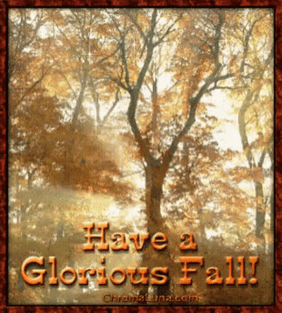 Trees Saying Have A Glorious Fall GIF