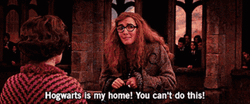 Trelawney Hogwarts Is My Home GIF